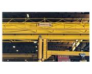 Detroit Hoist Gantry Bridge Type Crane 10 Ton
